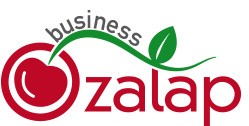 ozalapbusiness